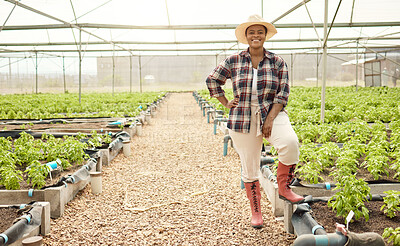 Proud farmer in her crop garden. Happy young farmer with her plants. Portrait of smiling gardener in her greenhouse. Young farmer in her sustainable plant nursery.African american farmer in a garden