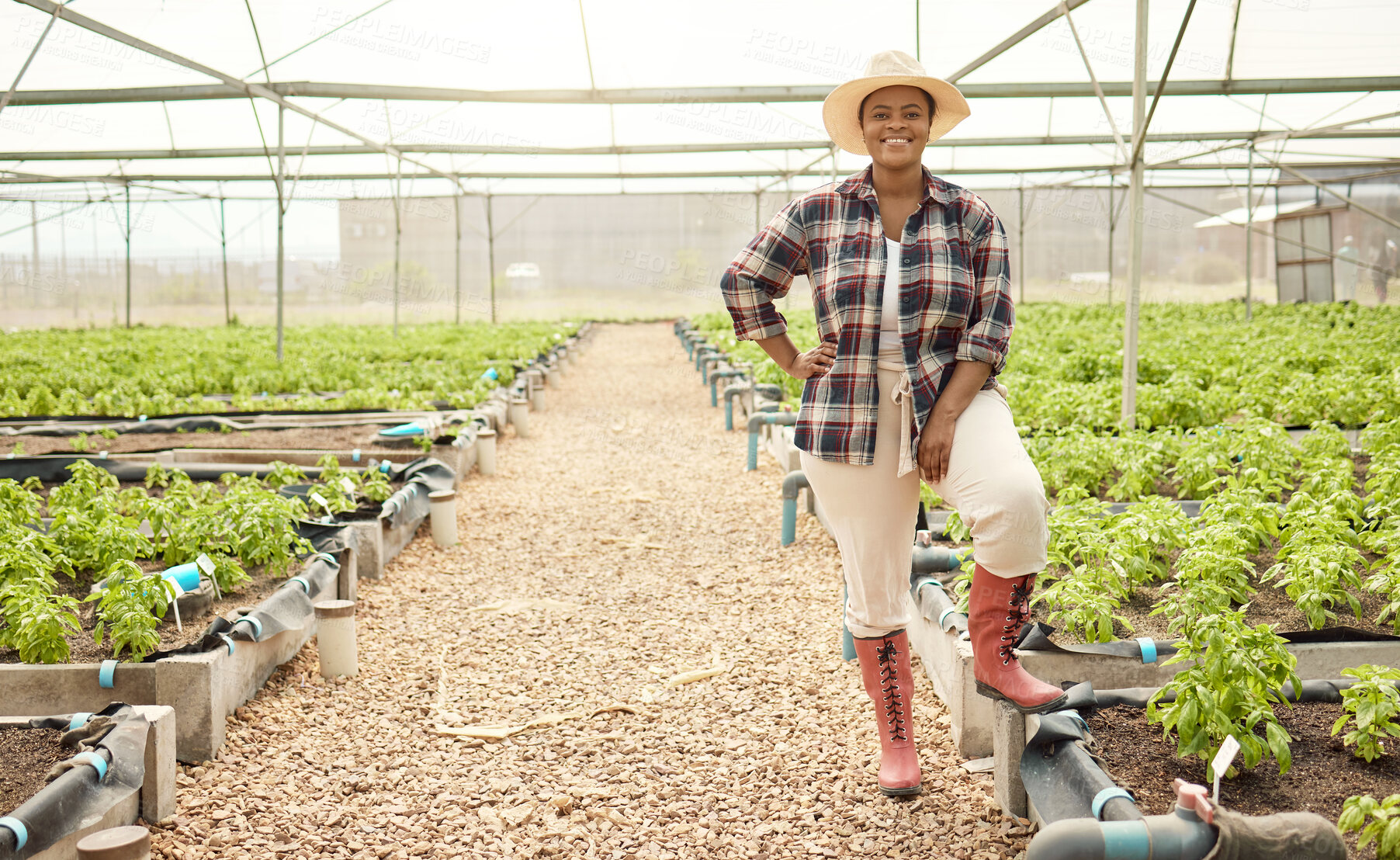 Buy stock photo Proud farmer in her crop garden. Happy young farmer with her plants. Portrait of smiling gardener in her greenhouse. Young farmer in her sustainable plant nursery.African american farmer in a garden