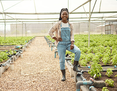 Buy stock photo Happy farmer in her greenhouse. Proud farmer standing in her garden. African american farmer in her plant nursery. Portrait of smiling young farmer. Confident farmer standing by her crops