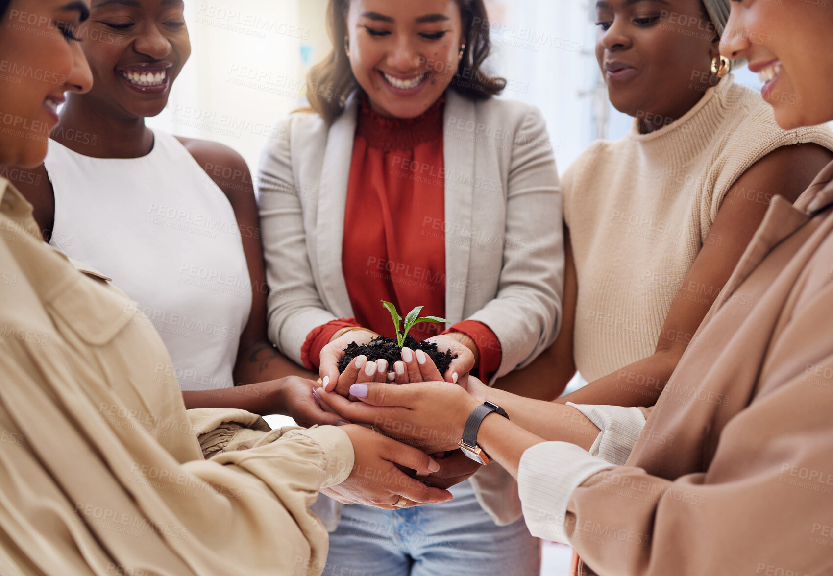 Buy stock photo Teamwork, soil or hands of women with plant for sustainability, agriculture environment or natural growth. Smile, group accountability or happy people with dirt helping green leaves development 