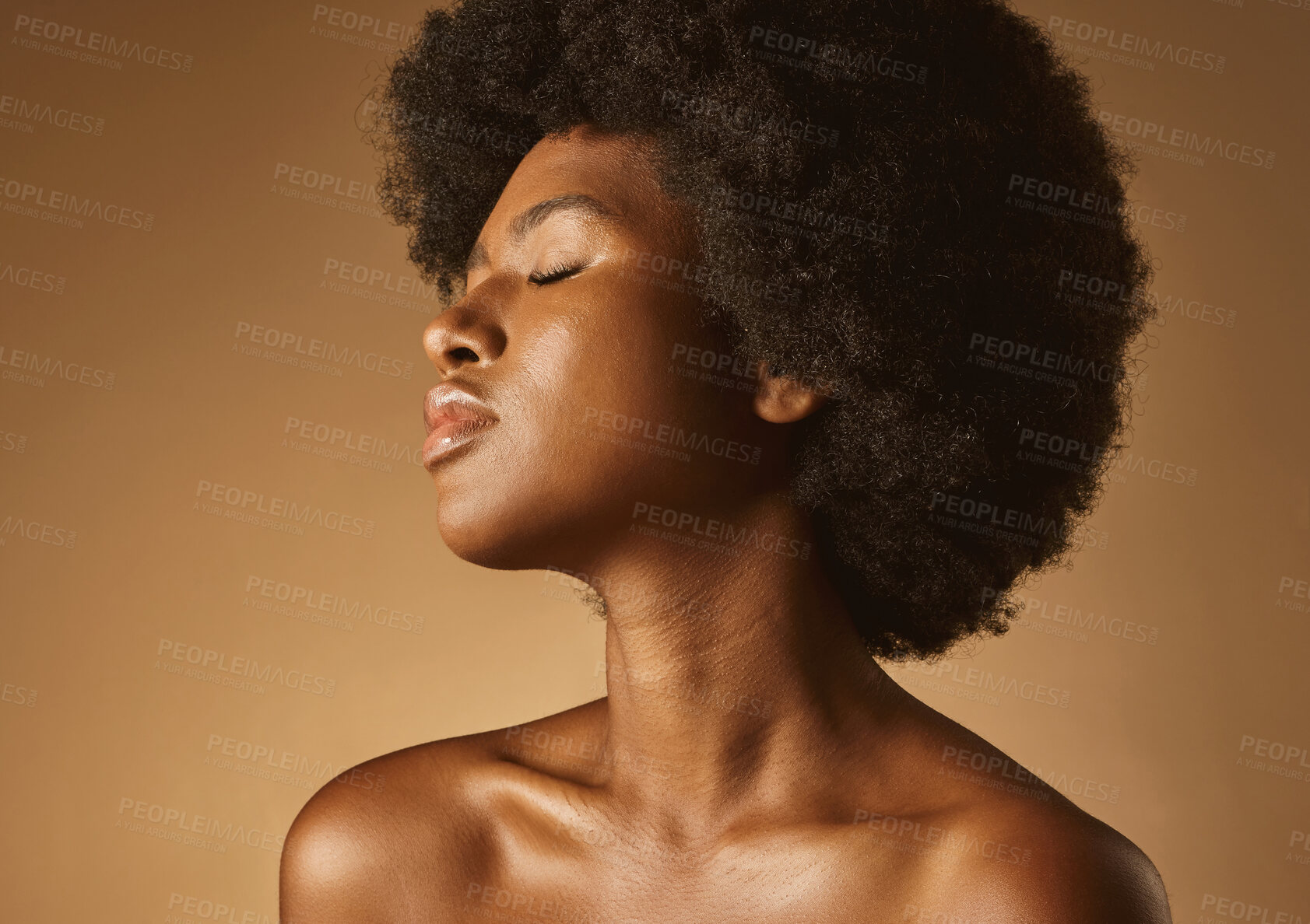 Buy stock photo Confident African American woman with a natural afro posing against brown studio copyspace background. Young beautiful black female model looking trendy, powerful and sensual with smooth glowing skin