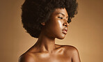 Confident African American woman with a natural afro posing against brown studio copyspace background. Young beautiful black female model looking trendy, powerful and sensual with smooth glowing skin