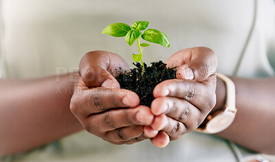 Buy stock photo Unrecognizable african american person holding a plant growing out of dirt in the palm of their hand. Unrecognizable person growing and nurturing a plant growing out of soil in their hand
