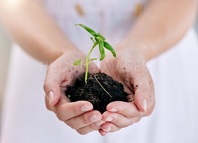 Unrecognizable businessperson standing while holding a plant growing out of dirt in the palm of their hand. One unrecognizable person growing and nurturing a plant growing out of soil in their hand