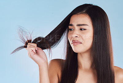 One young hispanic woman looking unhappy and worried about her unhealthy hair while posing against a blue studio background. Mixed race model holding strands of her dry, frizzy and brittle hair with split ends
