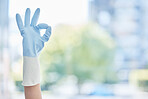 An unrecognizable domestic worker showing the OK symbol while wearing gloves and cleaning. One unknown mixed race woman expressing the perfect gesture while cleaning her apartment