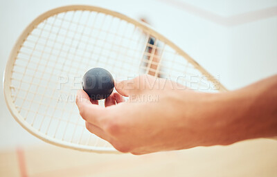 Unknown athletic squash player getting ready for playing opponent in competitive court game. Fit active athlete holding racket and ball to serve during training challenge in sports centre. Sporty men
