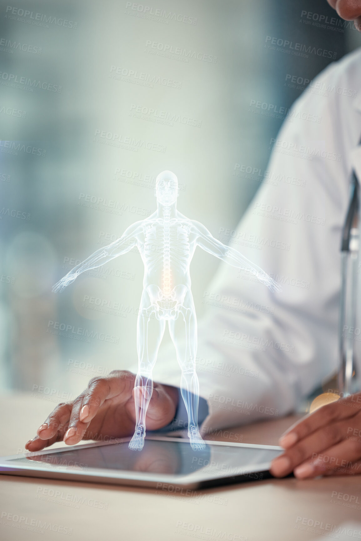 Buy stock photo Tablet, digital hologram and doctor hands for anatomy, human body and futuristic research in 3D. Technology, holographic and medical person in augmented reality for x ray, skeleton or spine solution