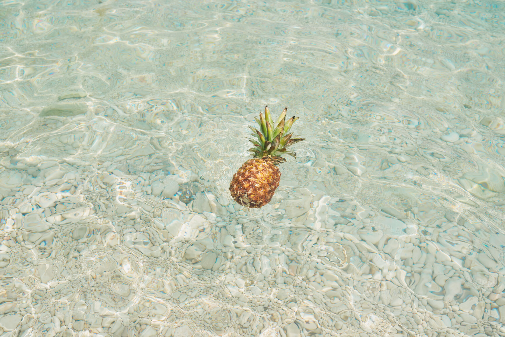 Buy stock photo Pineapple, ocean and water in summer, outdoor and floating in sunshine for food, health and nutrition. Tropical fruit, sea and nature with leaves, vegan meal and benefits for wellness in Hawaii