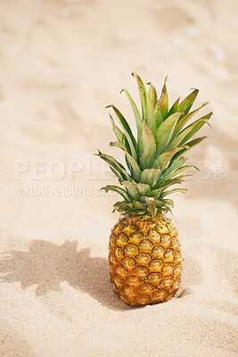 Buy stock photo Pineapple, tropical summer and beach sand to for travel to ocean vacation, island relaxing and caribbean holiday in sunshine. Outdoor background of fruits, shore and peaceful tourism at Hawaii resort