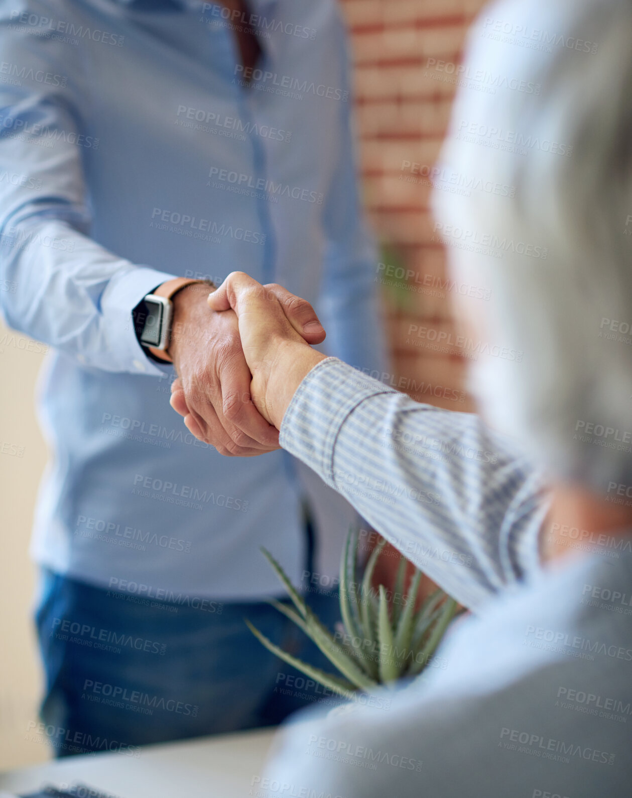 Buy stock photo business people shaking hands in office meeting after successful partnership deal for startup company