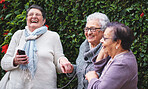 Funny elderly women listening to music on smartphone wearing earphones smiling enjoying fun celebrating retirement together outdoors