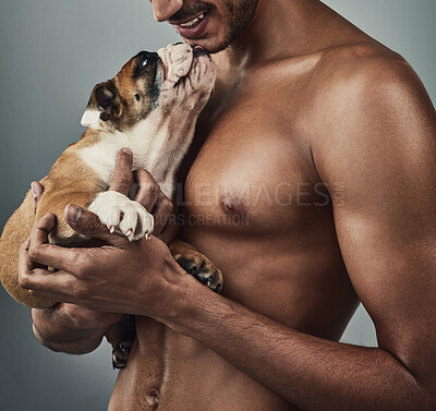 Buy stock photo Studio shot of a handsome and shirtless young man holding a bulldog puppy against a grey background
