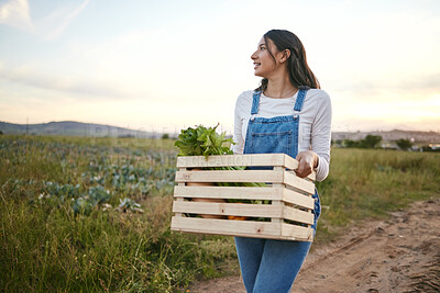 Woman farmer holding a wooden box of fresh vegetables. Young brunette female walking on a dirt road carrying organic produce on a farm