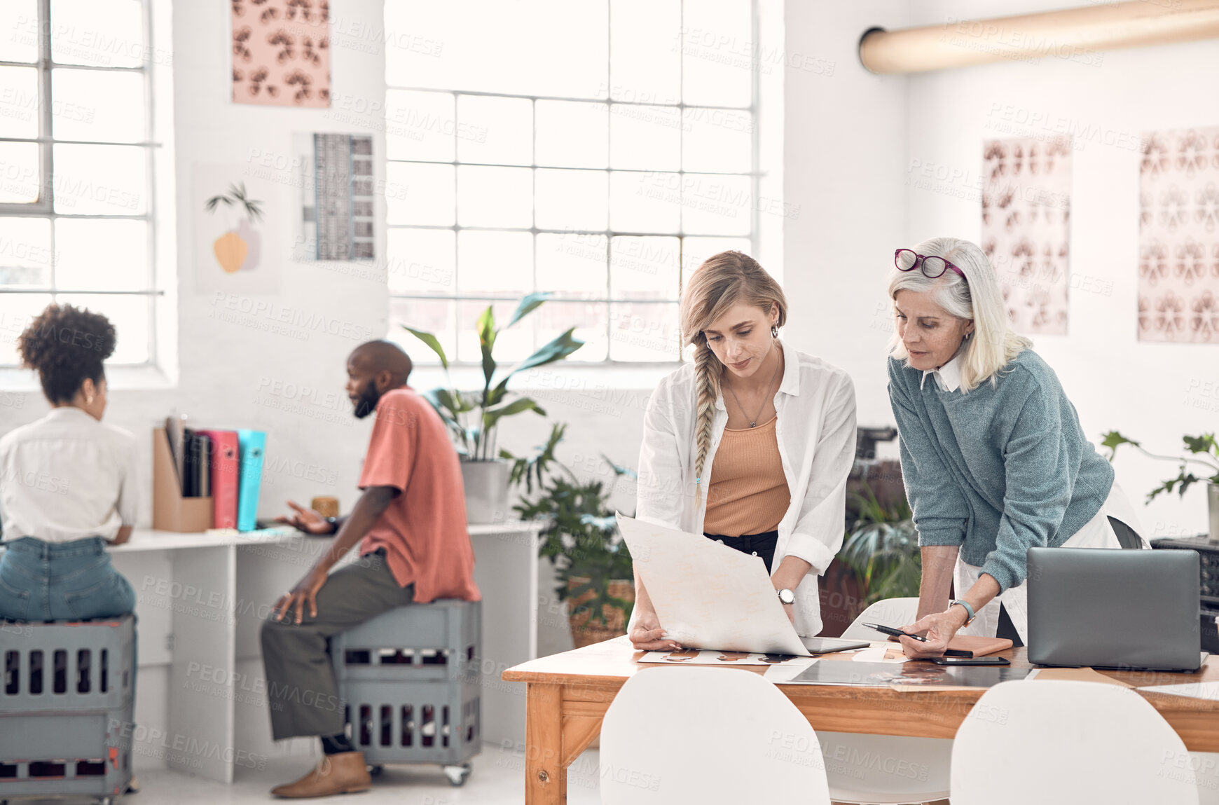 Buy stock photo Two focused caucasian businesswomen talking and looking at a document together at work. Female businesspeople having a meeting at a table together. Businesspeople planning and discussing a strategy