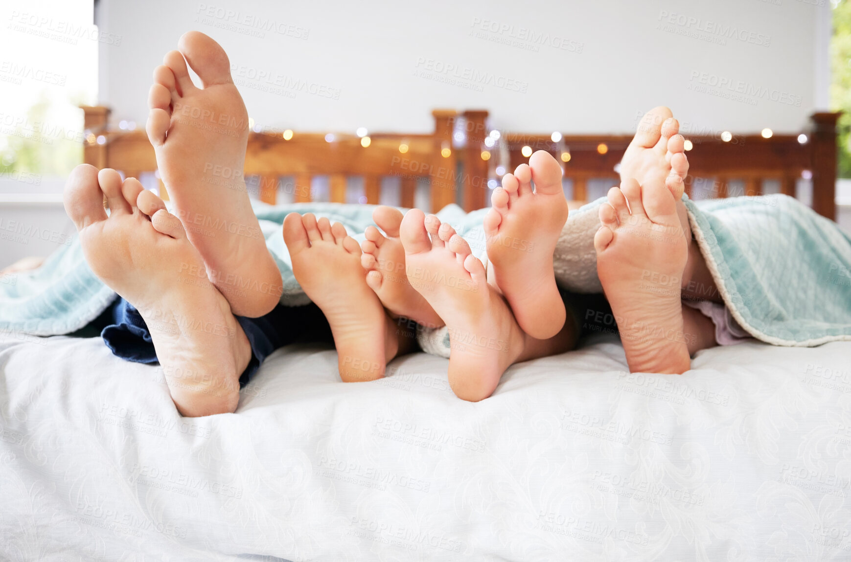 Buy stock photo Feet of family lying in bed. Closeup of feet of parents and children in bed. Family relaxing in bed together. Below bare feet of family in bed. Kids resting in bed with their parents
