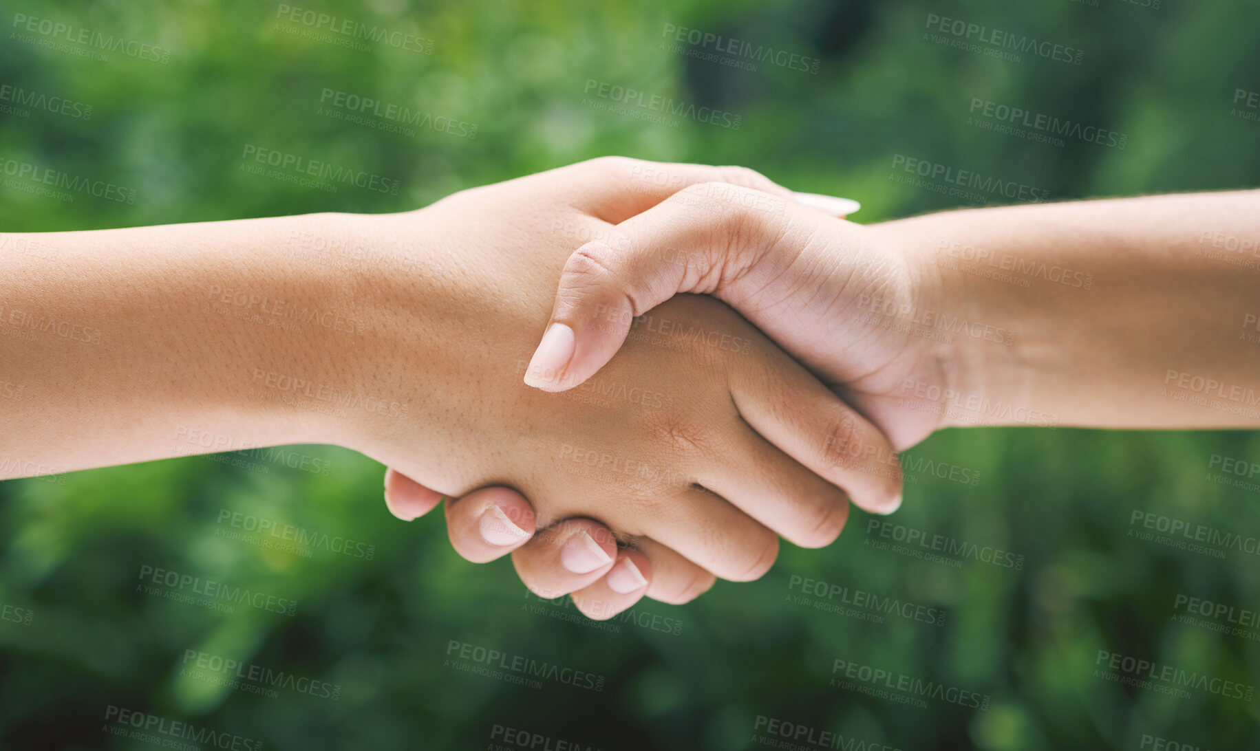 Buy stock photo Closeup of a handshake in nature. Two diverse peoples hands greeting. Partners making an agreement about sustainability