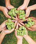 Hands touching and holding plants outside in nature. Closeup of a diverse group of people holding plants. Multiethnic group of people's hands holding plants in a circle