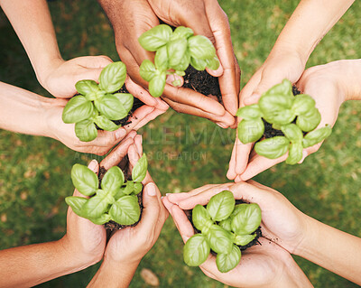 Circle of hands holding plants outside in nature. Closeup of a diverse group of people holding plants. Multiethnic group of people\'s hands holding plants in a circle