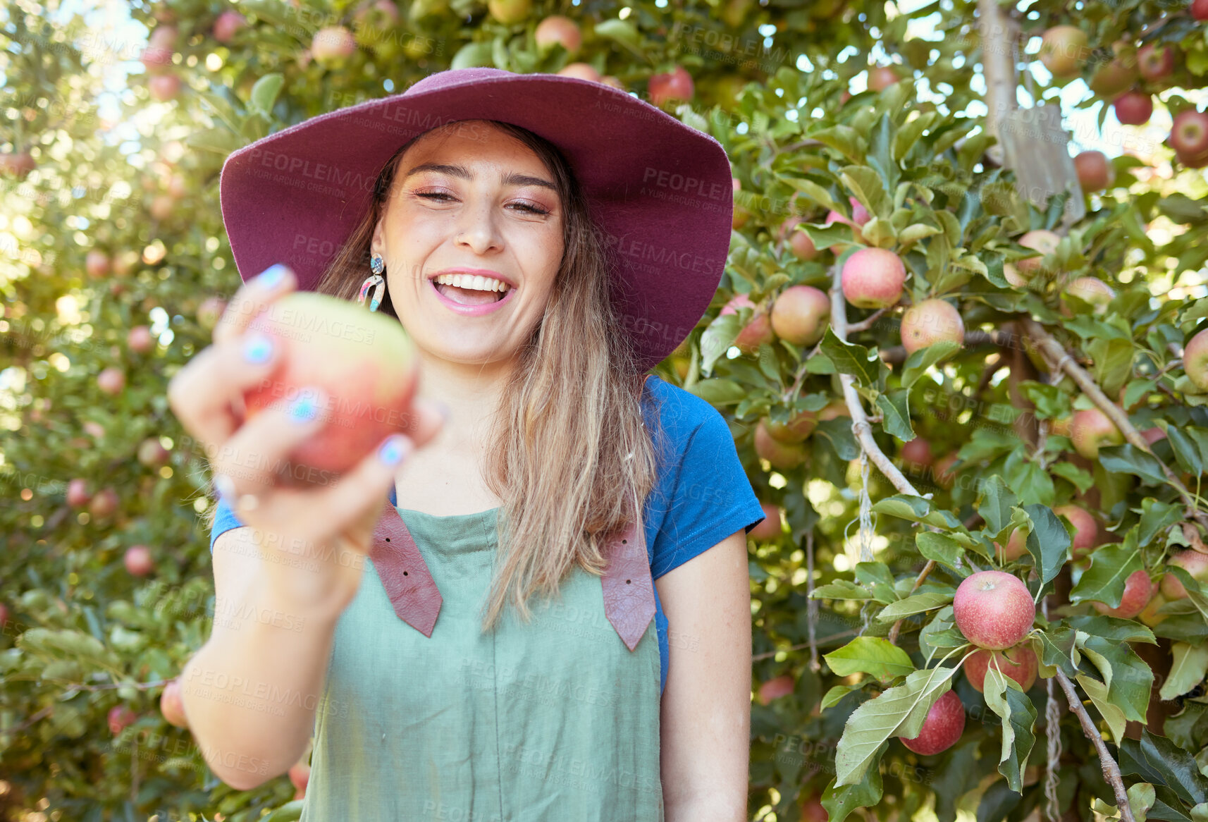 Buy stock photo Beautiful young woman holding an apple on a farm. Happy lady picking apples in an orchard. Fresh fruit produce growing in a field on farmland. The agricultural industry produces in harvest season