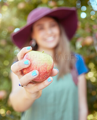 Buy stock photo Closeup of one unknown woman holding freshly picked apple from farm outside on the weekend. Farmer showing ripe apples for harvest. Healthy seasonal and organic grown fruit for nutrition and vitamins