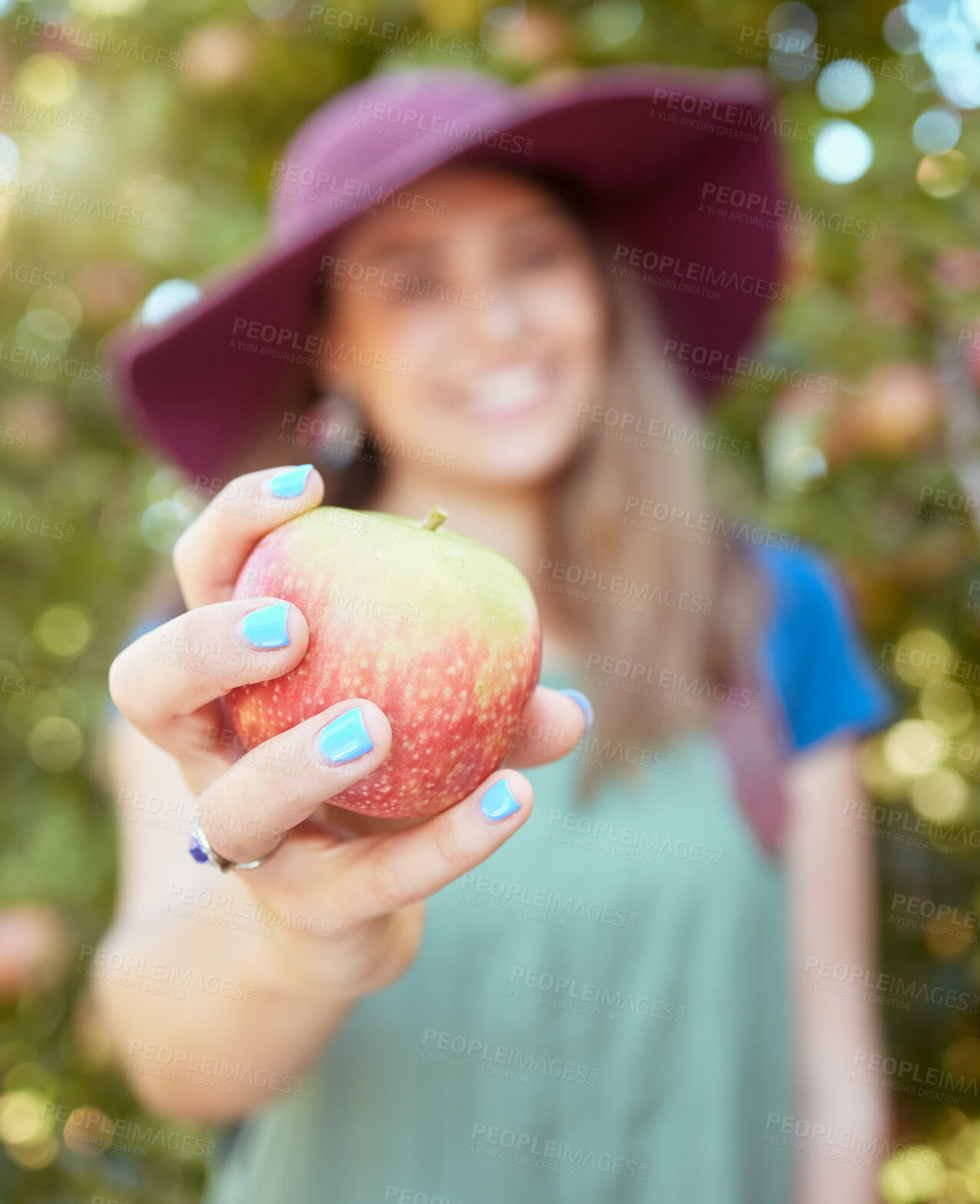 Buy stock photo Closeup of one unknown woman holding freshly picked apple from farm outside on the weekend. Farmer showing ripe apples for harvest. Healthy seasonal and organic grown fruit for nutrition and vitamins