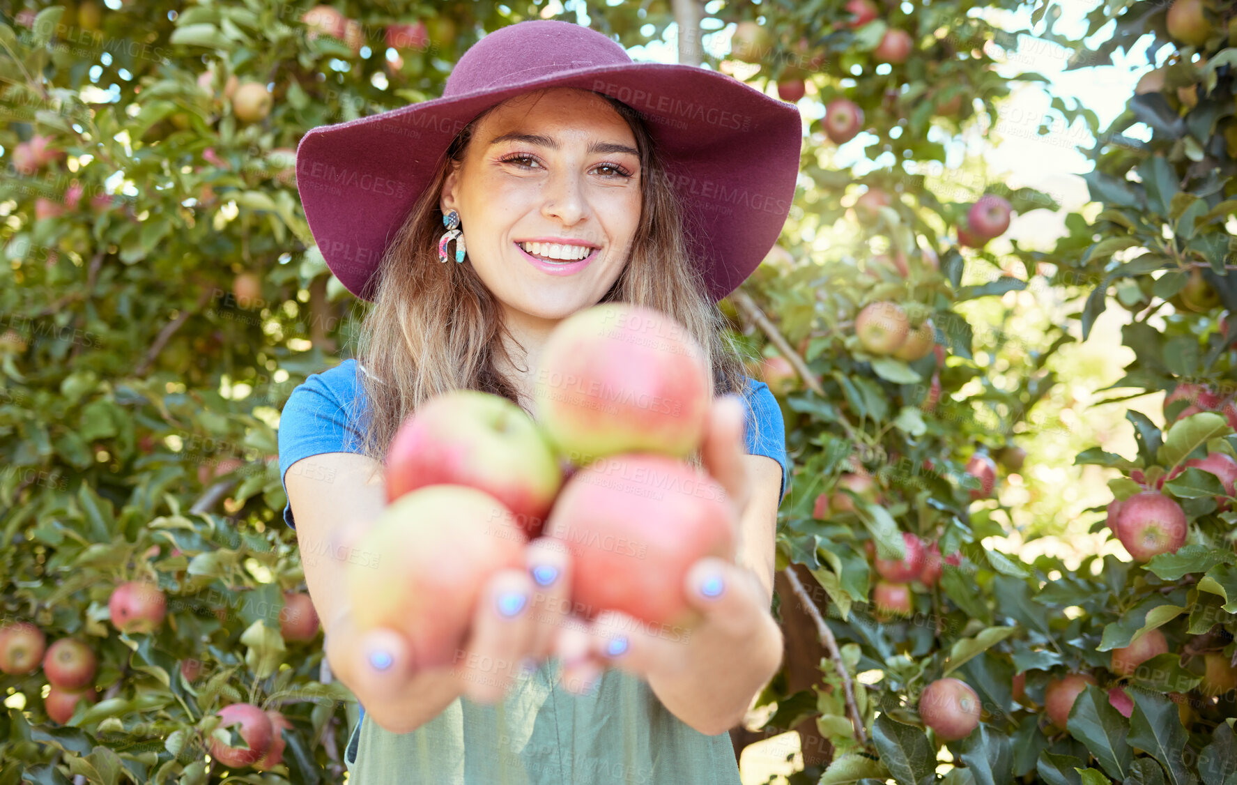 Buy stock photo Portrait of one happy young woman holding freshly picked red from trees on sustainable orchard farmland outside on sunny day. Farmer harvesting juicy nutritious organic fruit in season ready to eat