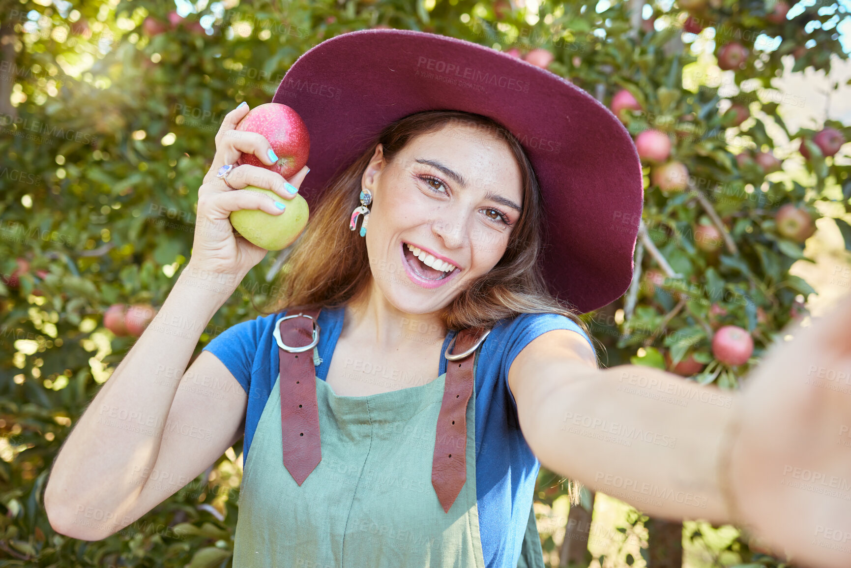 Buy stock photo Selfie of a happy female farmer standing in an orchard holding two different apples. Portrait of one young smiling farm worker wearing a straw hat and dungaree on a sunny day picking fruit