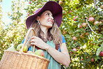 One happy woman from below holding basket of freshly picked apples from tree on sustainable orchard farm outside on sunny day. Cheerful farmer harvesting juicy nutritious organic fruit in season to eat