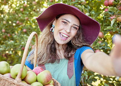 Buy stock photo Portrait of one happy woman taking selfies while holding basket of fresh picked apples on sustainable orchard farm outside on sunny day. Cheerful farmer harvesting juicy organic seasonal fruit to eat
