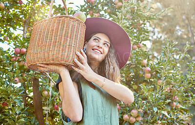 One happy woman from below holding basket of freshly picked apples from tree on sustainable orchard farm outside on sunny day. Cheerful farmer harvesting juicy nutritious organic fruit in season