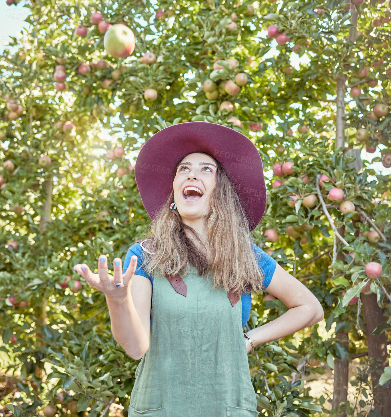 Buy stock photo Beautiful young female farmer throwing an apple on a farm during harvest season. Happy woman picking fruit in an organic and sustainable orchard. Fresh produce growing in a field for agriculture