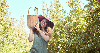 Buy stock photo Portrait of a happy woman holding basket, picking fresh apples from a tree on sustainable orchard farm outside on sunny day. Cheerful farmer harvesting juicy nutritious organic fruit in season to eat