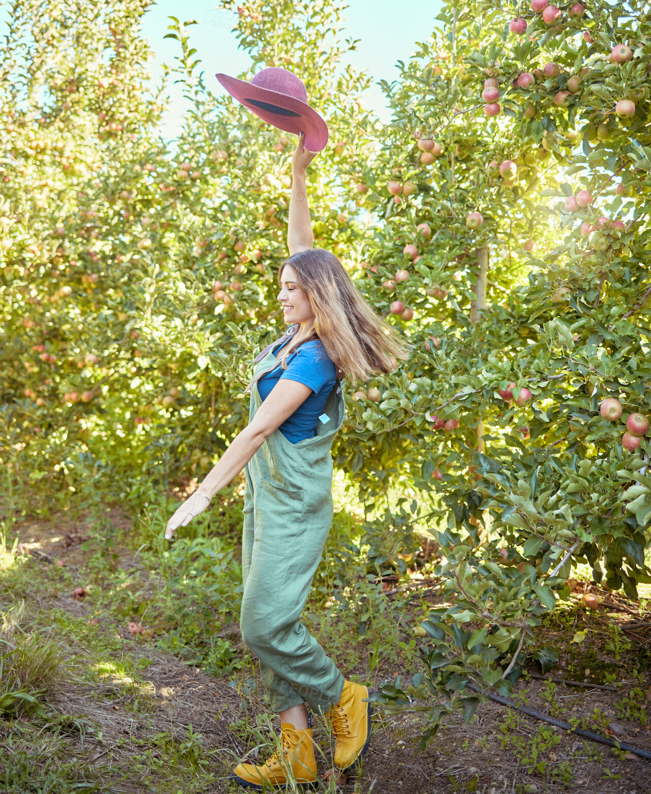 Buy stock photo Cheerful farmer feeling optimistic and fulfilled for harvest season of fresh organic fruit. One excited energetic happy young woman jumping for joy on sustainable apple orchard farm on sunny day.