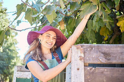 Portrait of a woman in a straw hat standing under a tree next to a rustic wooden crate. One young trendy female wearing a summer hat and dungaree dress in a garden on a sunny day picking apples