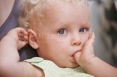 Buy stock photo A cute young toddler girl with curly blonde hair sucking his thumb sitting on her parent's lap. Little boy looking innocent and adorable with big blue eyes sucking his thumb finger at home