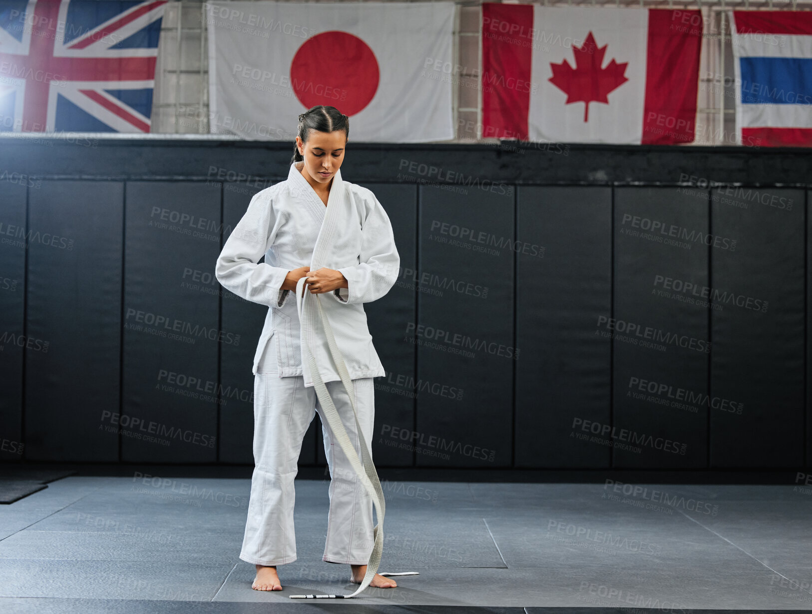 Buy stock photo Professional karate student dressing and prepare for practice in a dojo or club. Female mix martial art athlete tying belt in training for a fight, competition or exercise workout in a sport studio