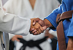 Handshake, respect and discipline with mma, karate and fight students shaking hands before a match or combat sport in a training gym or dojo. Training, exercise and workout in self defense class