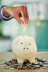 Finance growth, saving money and coins in a piggy bank for the best investment strategy a banking service, contact us. Silver cash put into a safe place to keep their financial wealth budget growing