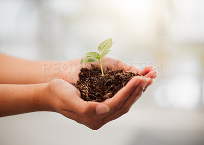Buy stock photo Sustainable, eco friendly and plant growth in hand with soil to protect the environment and ecosystem. Closeup of female palms with a young organic sprout or seedling for the sustainability of nature
