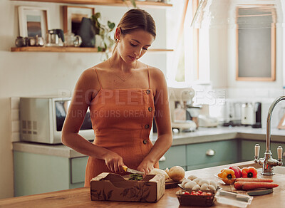 Buy stock photo Cooking, health and organic vegetables while woman prepares a vegetarian meal or dish in the kitchen at home. Serious young housewife preparing a healthy green food recipe with fresh ingredients