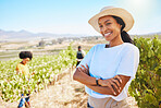 Young woman picking grapes from vine tree plant during harvest season, working in countryside valley. Portrait of Black woman in agriculture industry, enjoying healthy fruit for wine in nature field