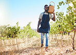 Farm, worker and wine of a man working or collecting grapes at a vineyard outdoors in summer. Farmer at work in agriculture growth walking with natural healthy fruit for retail and store in nature.