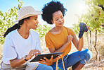 Agriculture, wine vineyard and farmer working on tablet app to monitor plant growth, development or sustainability in countryside garden field.  Workers or people with digital tech for fruit plants.