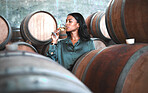 Woman doing wine tasting, drinking glass of chardonnay or sauvignon blanc in winery cellar amongst barrels on vineyard. Beautiful oenologist or sommelier enjoying a relaxing, luxury beverage indoors.