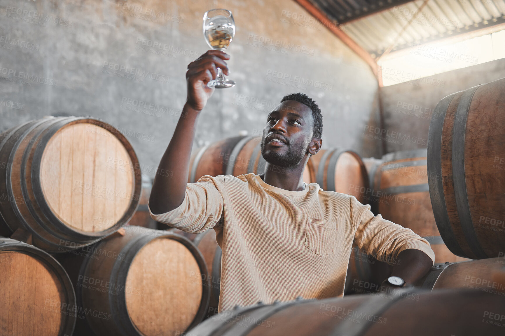 Buy stock photo Wine expert or entrepreneur with glass during tasting test in a cellar or distillery in a warehouse. Black agriculture worker in alcohol production storage or wooden barrel in a manufacturing winery