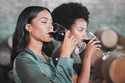 Buy stock photo Women, wine tasting and drinking alcohol from glass in farm room, winery estate and local countryside distillery. Black friends, connoisseurs and sommeliers bonding and enjoying vineyard red merlot 
