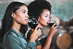 Luxury, hospitality and friends at wine tasting event, drink and enjoying new experience together in a vineyard cellar. Diverse women bonding while trying and testing the quality of a popular blend
