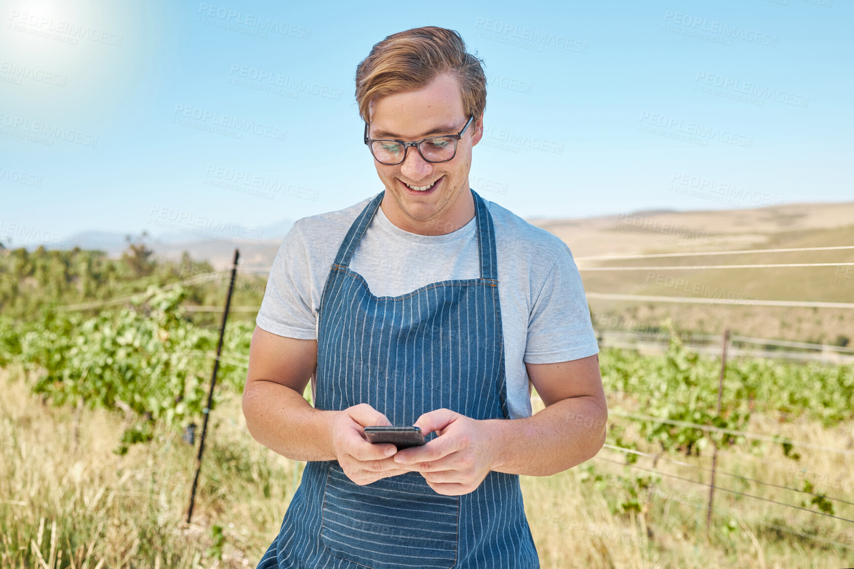 Buy stock photo Phone, farm and wine with a farmer or winemaker gets good news online in vineyard. Sustainability, development and ecommerce in farming. Leader in alcohol, agriculture and manufacturing industry