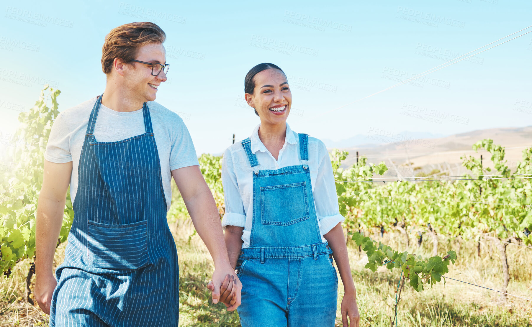 Buy stock photo Farm, success, and love for wine, farmer couple in vineyard. Sustainability, development and distillery manufacturing wine. Happy man and woman work agriculture, alcohol and farming industry together